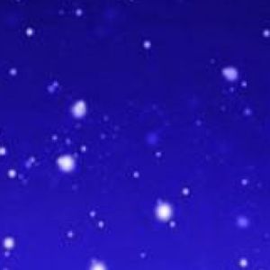 Meet your Posher, Kassidy